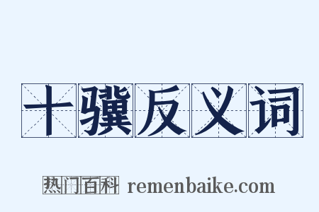 十骥反义词是什么意思的图片